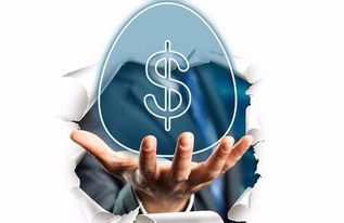 網貸信披指引透露的信號與信息咨詢服務的重要性